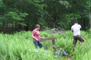 Field Picture: Historical Perspectives, Inc.